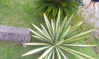 Imagem 4: Casa com preço abaixo de mercado