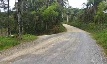 Imagem 6: Chácara formada Campo Magro 56.000² ou 5,6 hectares com casa sede e caseiro