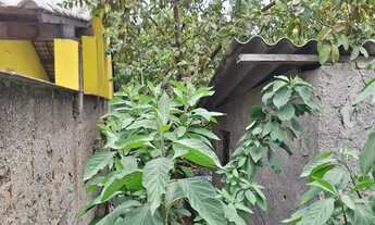 Imagem 3: ótimo lote de terreno