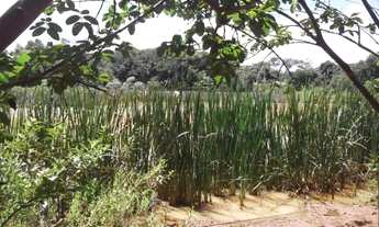 Imagem 6: Sitio maravilhoso a 6,5 km do asfalto, Jaboticatubas (Temos varias opções)