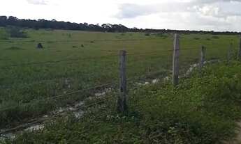 Imagem 3: Vendo Fazenda em Deuré Tocantins 232 Alq
