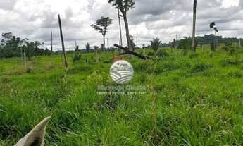 Imagem 3: Buritis - Sítio - 30 alqueires