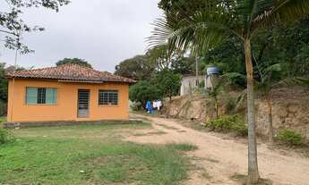 Imagem: Fazenda/Sítio/Chácara para venda tem 800