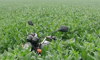 Imagem 5: Vendo fazenda em Pedro Afonso Tocantins 445 alq