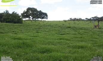 Imagem 3: Fazenda de dupla aptidão