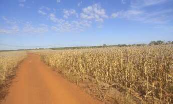 Imagem 7: Vendo fazenda em Pedro Afonso Tocantins 445 alq