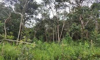 Imagem 4: São Gonçalo do Rio Preto , comunidade do Capão Bonito