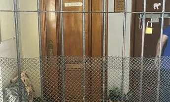 Imagem 6: Vendo AP 150.000. residencial marajó