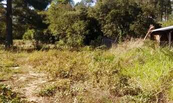 Imagem 4: Barbada!! Chacara Ararica