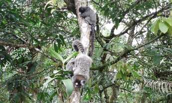 Imagem 4: ITANHAÉM - Chácara - Jardim São Fernando