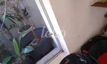 Imagem: São Paulo - Casa Padrão - Cambuci