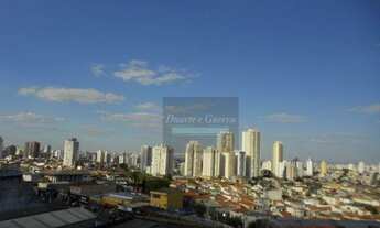 Imagem 6: Apto Andar Alto com 3 Vagas de Garagem