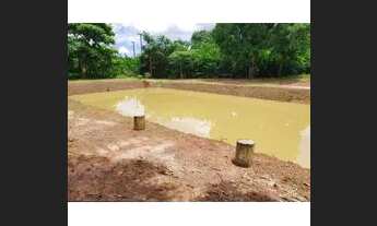 Imagem 7: Vendo ou alugo chácara em Bacabeira