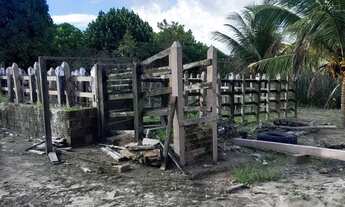 Imagem: Propiedade top de linha, 22 hectares