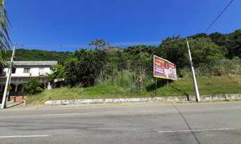 Imagem 2: Código do anúncio: 87139