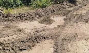 Imagem 7: Fazenda em Guarai. 95 mil por alqueire