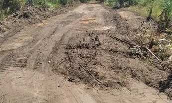 Imagem 6: Fazenda em Guarai. 95 mil por alqueire