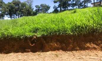 Imagem 5: Terreno com ótima topografia