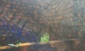 Imagem 4: Venda Casa com 2 dormitórios