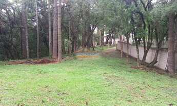 Imagem 6: TERRENO à venda com 3000m² por R$ 370.000,00 no bairro Butiatuvinha - CURITIBA / PR