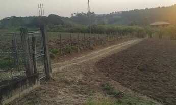 Imagem 4: C- Terrenos plainos