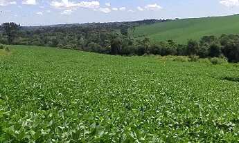 Imagem 2: Sítio Auto Sustentavél em Vitor Meireles - SC