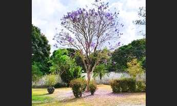 Imagem 5: Vendo ou alugo chácara em Bacabeira