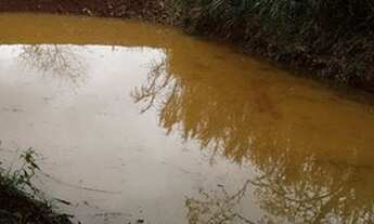 Imagem 5: Vendo Chácara São Salvador 42.000m