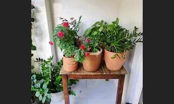 Imagem 5: Linda Casa em Casa Forte