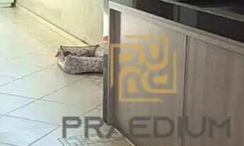 Imagem: Sobrado com 3 dormitórios à venda, 200