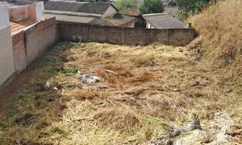 Imagem 6: Vendo ou troco terreno grande