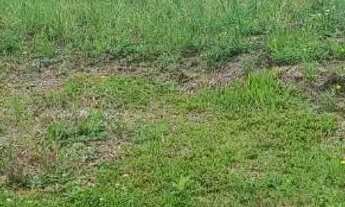 Imagem: Vendo terreno