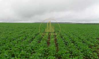 Imagem 2: Fazenda à Venda Unaí/MG 472 ha