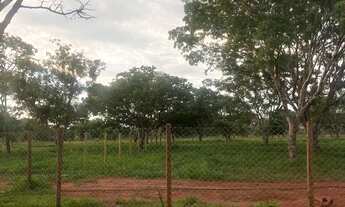 Imagem 3: Chácara 1000m - 14km Uberlândia