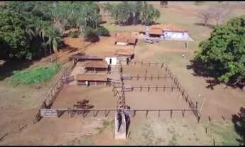 Imagem 3: Fazenda a venda no Prata com 85 alqueires (411,4 hectares), excelente oportunidade!!!