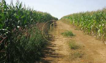 Imagem: Fazenda à Venda Unaí/MG 472 ha