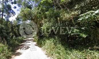 Imagem 3: IMOBILIARIA JUVEVE VENDE TERRENO MATA FECHADA SAO JOSE DOS PINHAIS CAMPO LARGO DA ROSEIRA