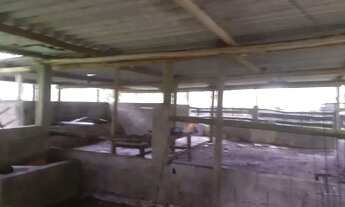 Imagem 5: 1 hectare Paulista 3 lagos mais pocilga 174 mil reais