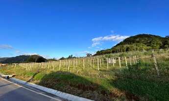 Imagem 4: Sitio - Bairro Tapera