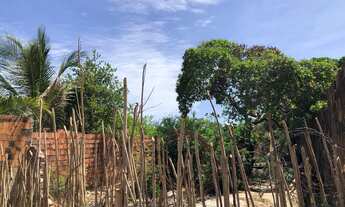 Imagem 2: Terreno lagoa do banana