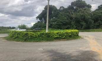 Imagem 7: AREA - LARANJA AZEDA - SP