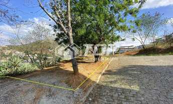 Imagem 3: Lote de aprox. 250,00m² a venda no bairro Monte Cristo