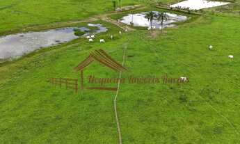 Imagem 6: Sitio com área de 8,5 alqueires em Porangaba/SP