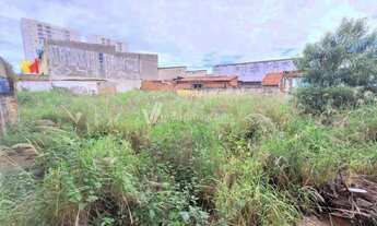 Imagem 6: Terreno - Jardim Chapadão - Campinas