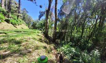 Imagem 7: AREA DE TERRAS COM VISTA DA MONTANHA !