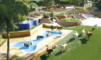 Imagem 7: Studio em ponto estrategico do Porto Maravilha ! prox ao futuro parque do porto e estadio