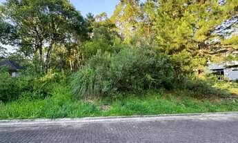 Imagem 3: Terreno - Bairro Carniel