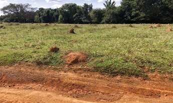 Imagem: Fazenda de 35 alqueires