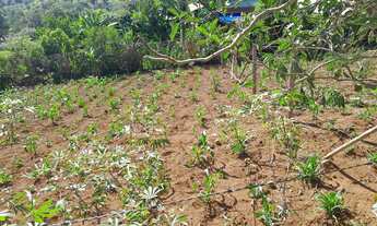 Imagem: Lotes no bairro paraíso em mateus leme