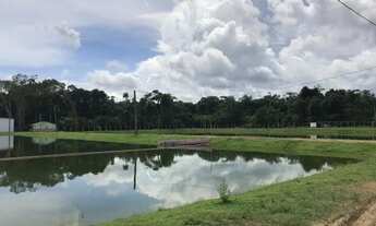 Imagem 6: Vendo Fazenda com 246 Hectares em Itacoatiara/ Pronta Para Diversas Atividades